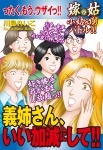 嫁vs姑 小姑&舅バトル!! 義姉さん、いい加減にして!! 嫁姑シリーズ50